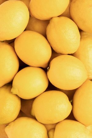 Lemons_3