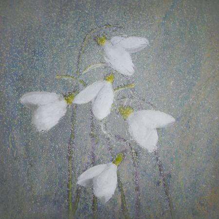 Snowdrops