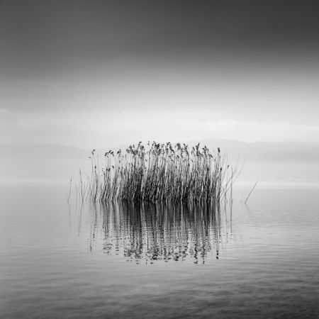 Black and White Silence