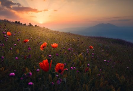 Rudbar Heights in Spring