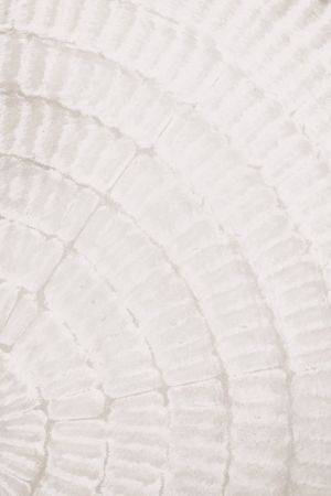 Pattern plate_beige_2