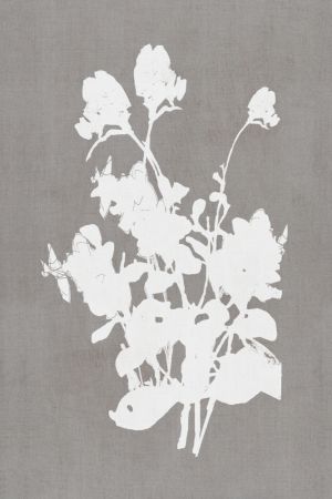 Botanical Illustration 3