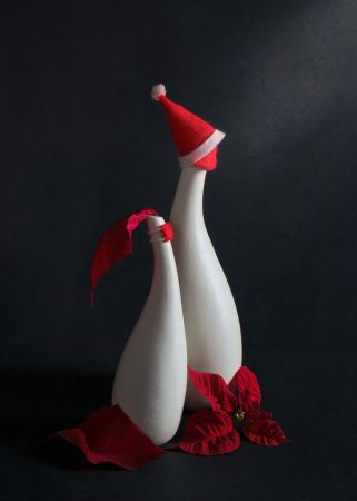 Looking Forward to a New Year