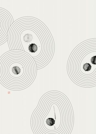 Accidental Zen Garden N°2