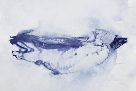 Unconfirmed Target No. 1