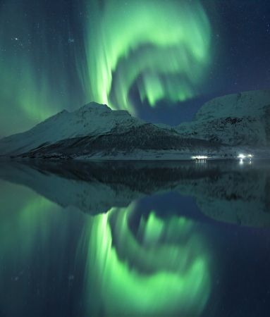 Reflecting Fairy vertical