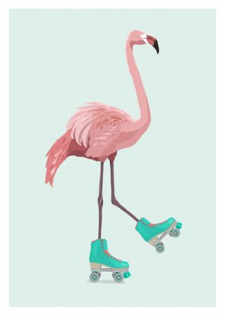 Flamingogo