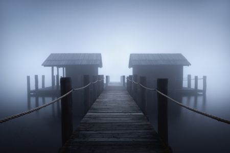 Alone in the fog