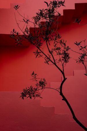 Muralla Roja #14