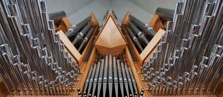 Organ
