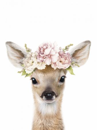 Floral Baby Deer