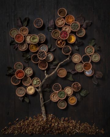 Tree of spice