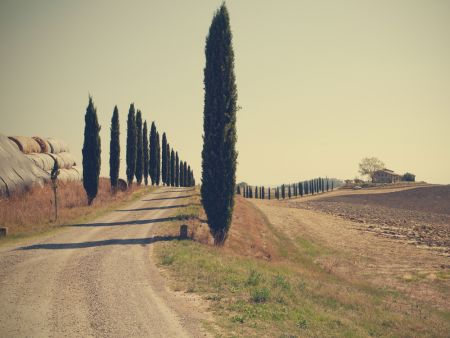 Tuscan countryside
