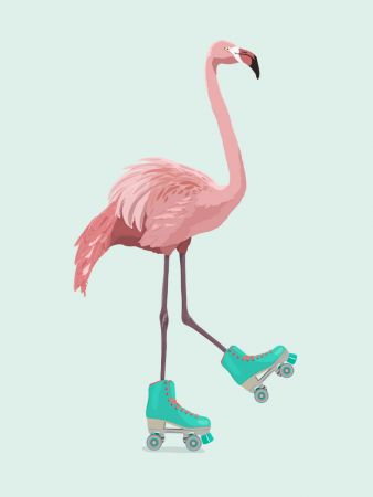 Flamingogo