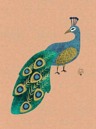 Peacock Erum Khalili.png