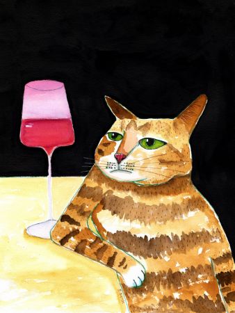 Cat Friday Night Drinks Wine Funny Cat Humour