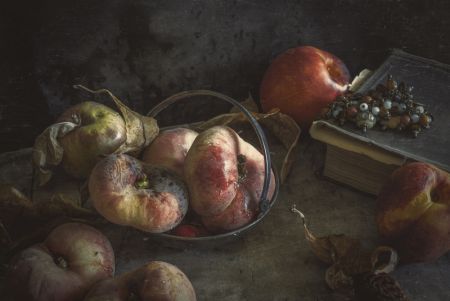 Still life with book and peaches