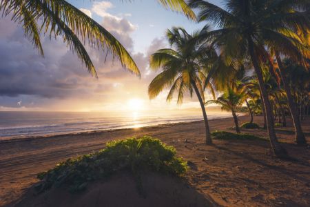 Good Morning Paradise