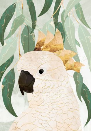 Sydney Opera Cockatoo with Eucalyptus