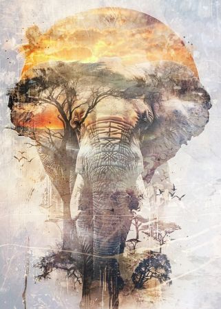 Elephant Africa Wild Animal Vintage Illustration Art 03