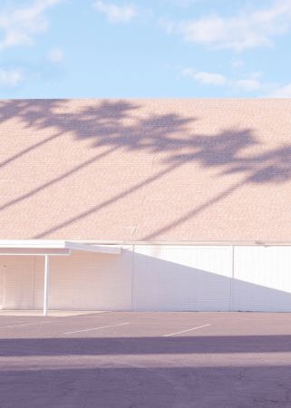 Las Vegas Chapel Palm Shadows