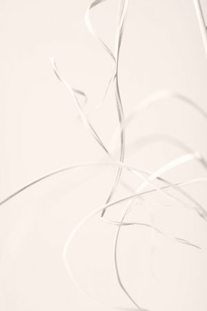 Dried Grass Light Beige 02