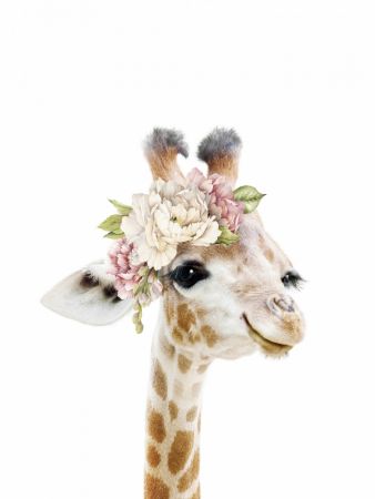 Floral Baby Giraffe