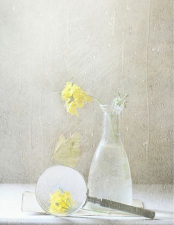 "Nature" Is What we See