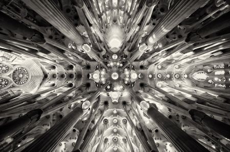 Artificial forest - Sagrada Familia