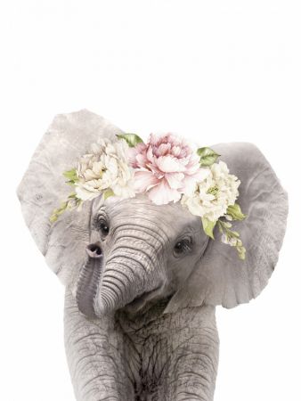 Floral Baby Elephant