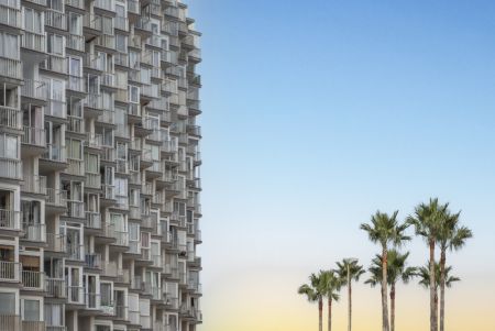 Palms and apartments