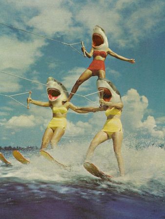 On Evil Beach - Shark Attack