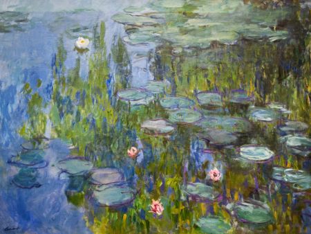 Claude Monet's Water Lilies (1915)
