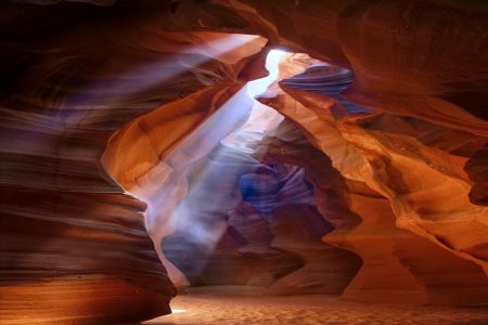 Pure Photodelight  2