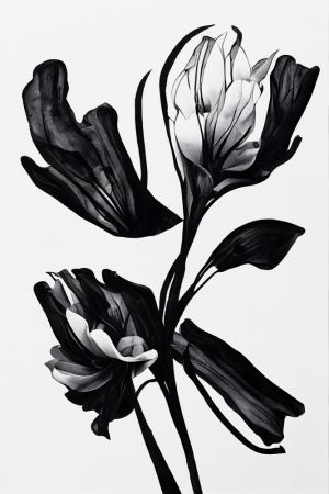 Black Flower