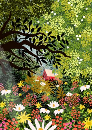 9933x14043 Din 48 My Dream House