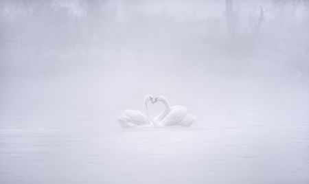 Love in the foggy morning