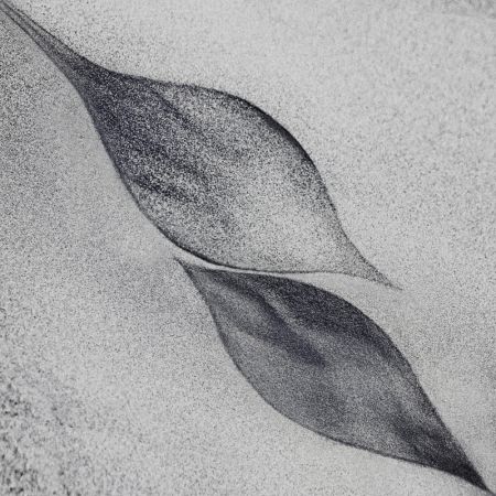 shaped by a creative wind