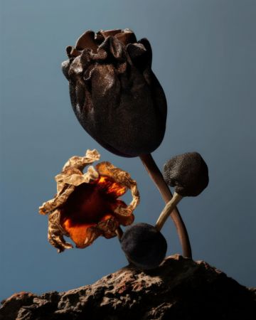 Still Life Flowers No2