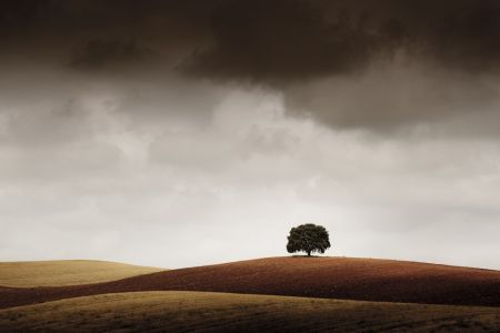 Tuve Que Pararme al Verla