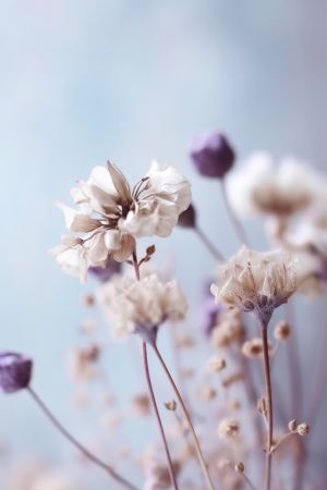 Pastel Dry Flowers No 4