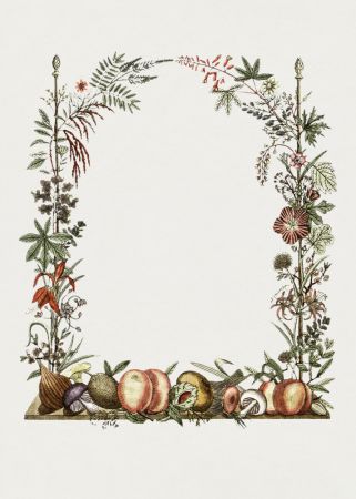 Hand Drawn Botanical Frame