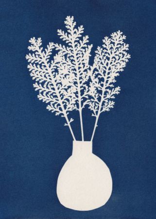 Cyanotype Still Life Studies #4