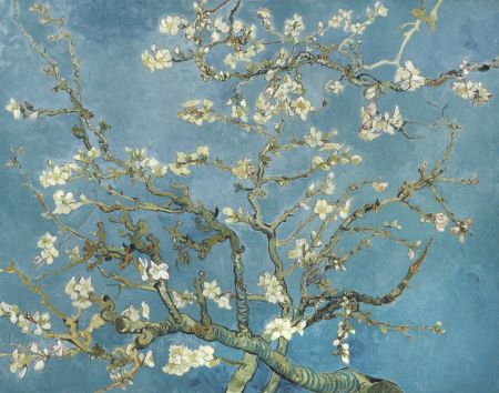 Vincent Van Gogh's Almond Blossom (1890)