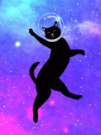 Happy Space Cat