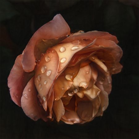 Raindrops are falling on my head...