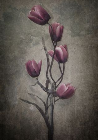 You Haven't Seen the Last of Me