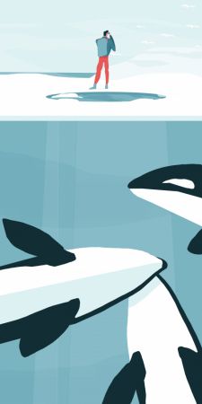 Orcas