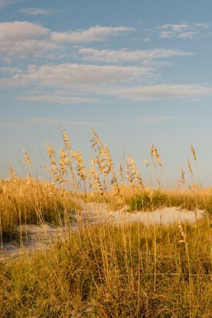 Hilton Head Island II
