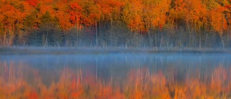 Pulses of the Autumn